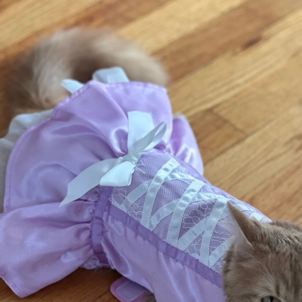 Cat princess Halloween costume